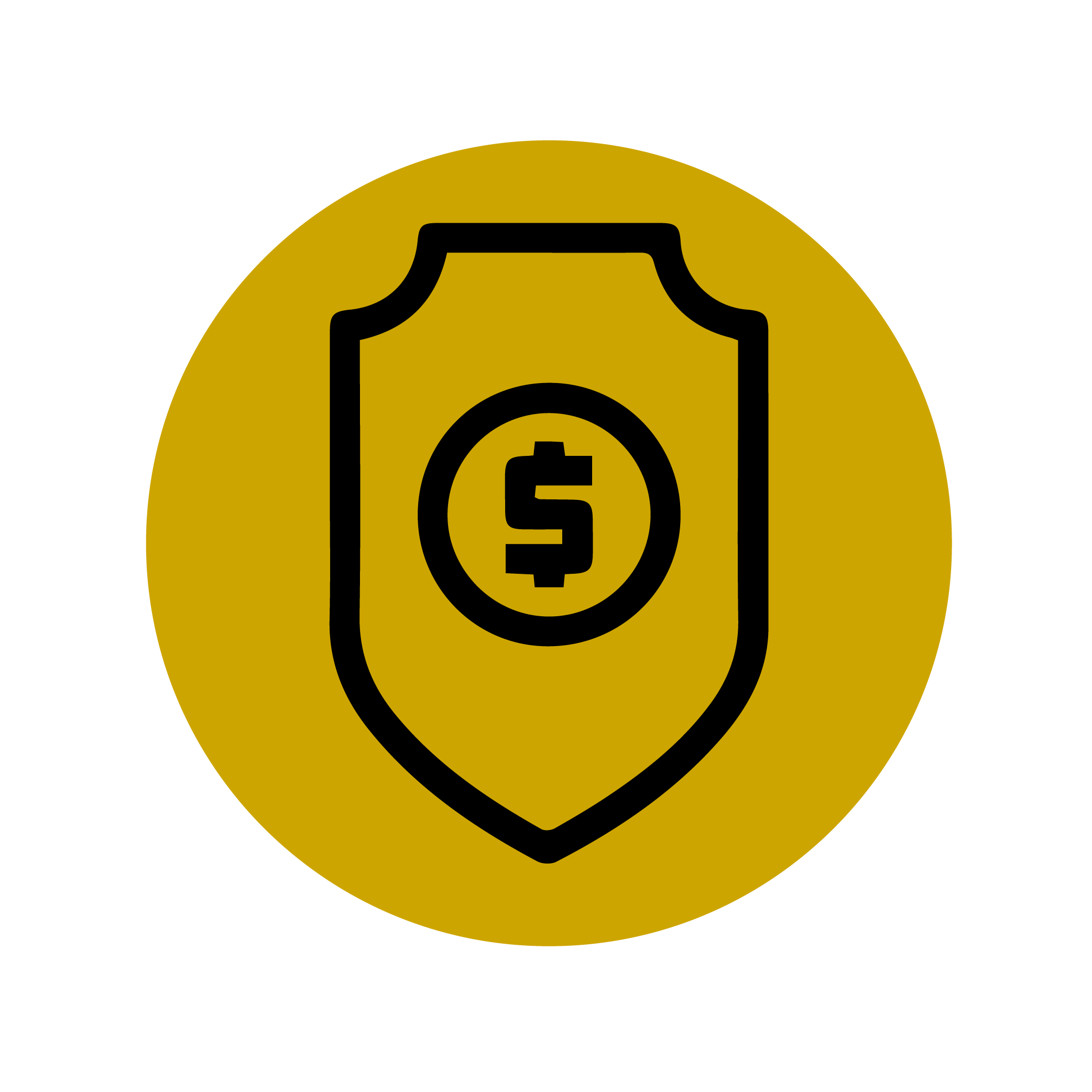 "پرداخت امن"